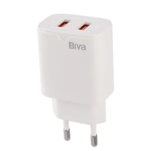 شارژر دیواری 10 وات بیوا مدل HC-04