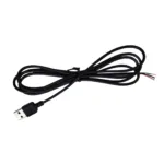 main