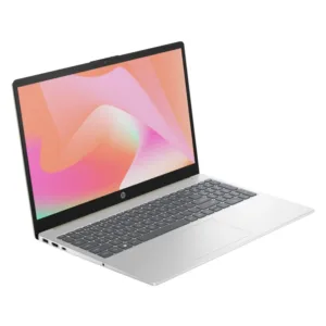 لپ‌تاپ 15.6 اچ‌ پی مدل fd1134nia-15-Core 3 100U-12GB DDR4 3200MHz-256GB SSD-Backlit - کاستوم شده