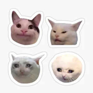 استیکر لپ تاپ و موبایل گوفی طرح گربه با مزه مدل Funny Cats 1 مجموعه 4 عددی