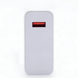 شارژر دیواری مدل 33 وات به همراه کابل تبدیل USB-C