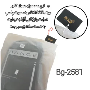 کوله پشتی لپ تاپ بنج مدل BG-2581 مناسب برای لپ تاپ تا 15.6 اینچی