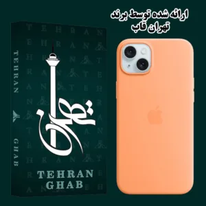 کاور تهران قاب مدل TSILB مناسب برای گوشی موبایل اپل iPhone 13 Pro