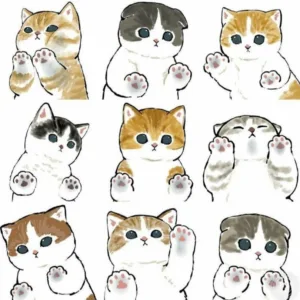 استیکر طرح cute cat مجموعه 9 عددی